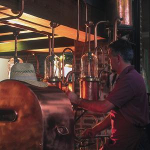 The distillation and the cutting of head, heart and tail